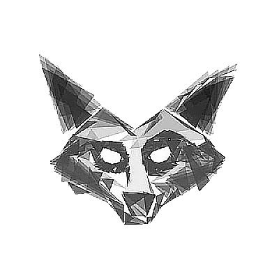 Raccoonin Records